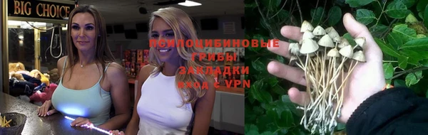 ALPHA-PVP Богородицк