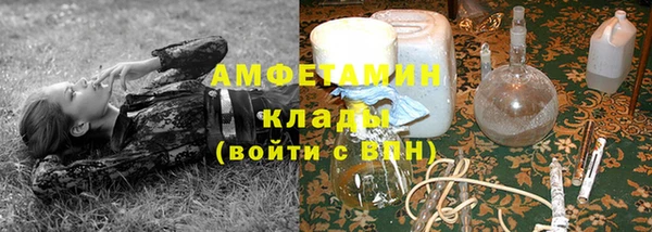 эйфоретик Богданович