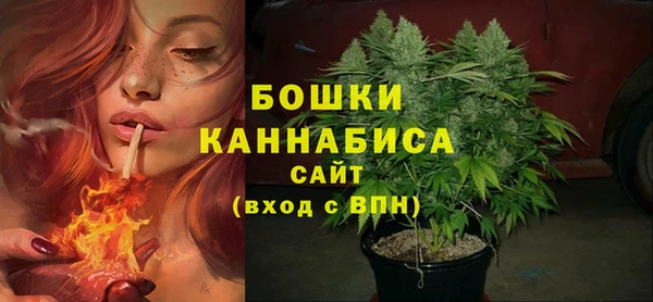 эйфоретик Богданович