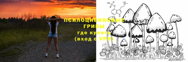 ALPHA-PVP Богородицк