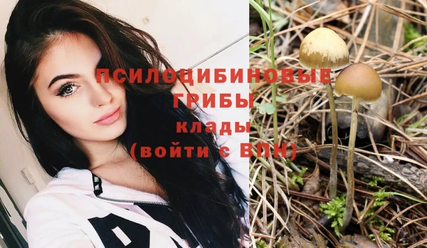 ALPHA-PVP Богородицк