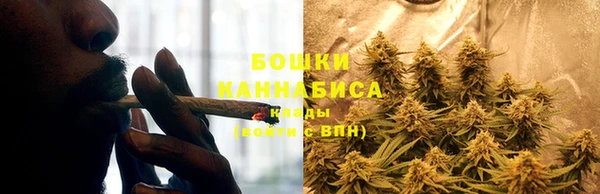 эйфоретик Богданович